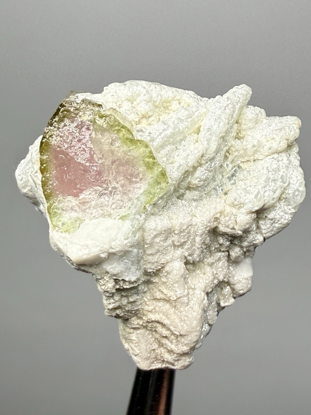 Watermelon Tourmaline on Matrix | Collector Mineral Specimen | Pakistan