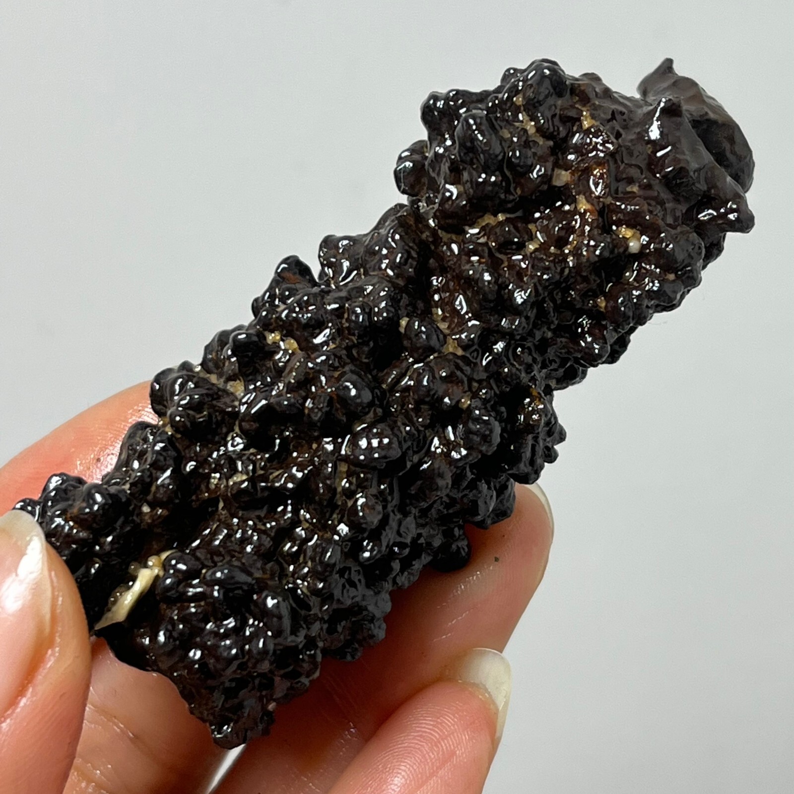 80g Limonite & Hematite pseudomorph after Marcasite – Prophecy Stone d22