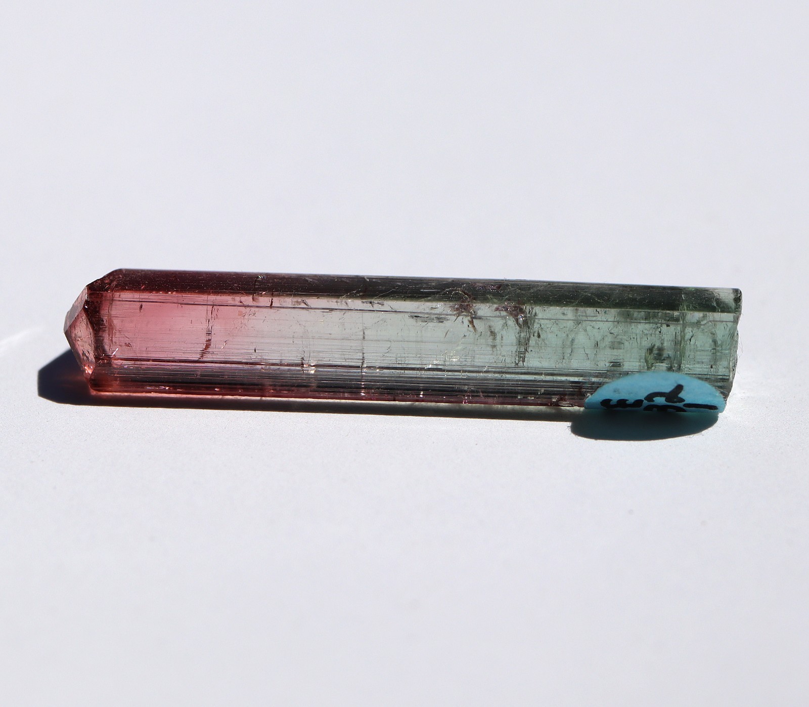 Gem Tourmaline DT. Cruzeiro Mine, Brazil. Dr. Stephen Smale collection 1985