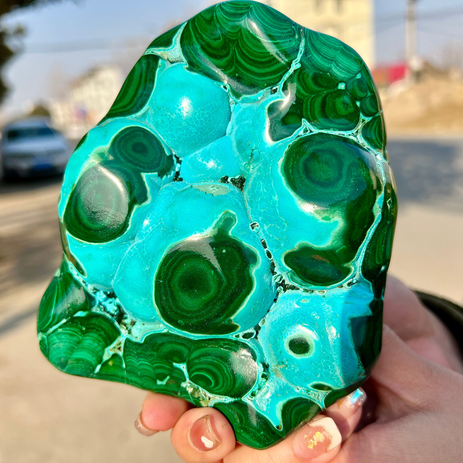 3.03LB Natural tortoise Malachite transparent cluster rough mineral sample
