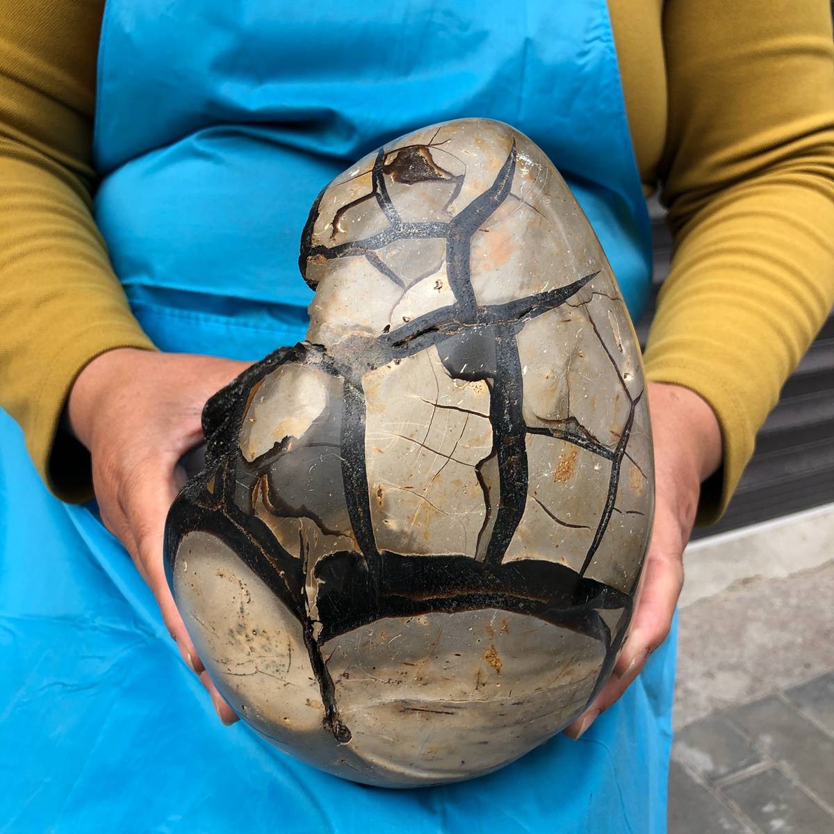 6400G Natural Turtle Back Stone Dragon Crystal Cave Crack Gem Healing 4349