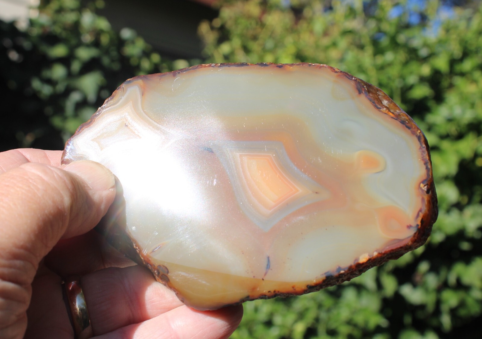 Natural 5” Geode Slice Amber Orange Brown Tones Agate 3/4” Thick-401 grams