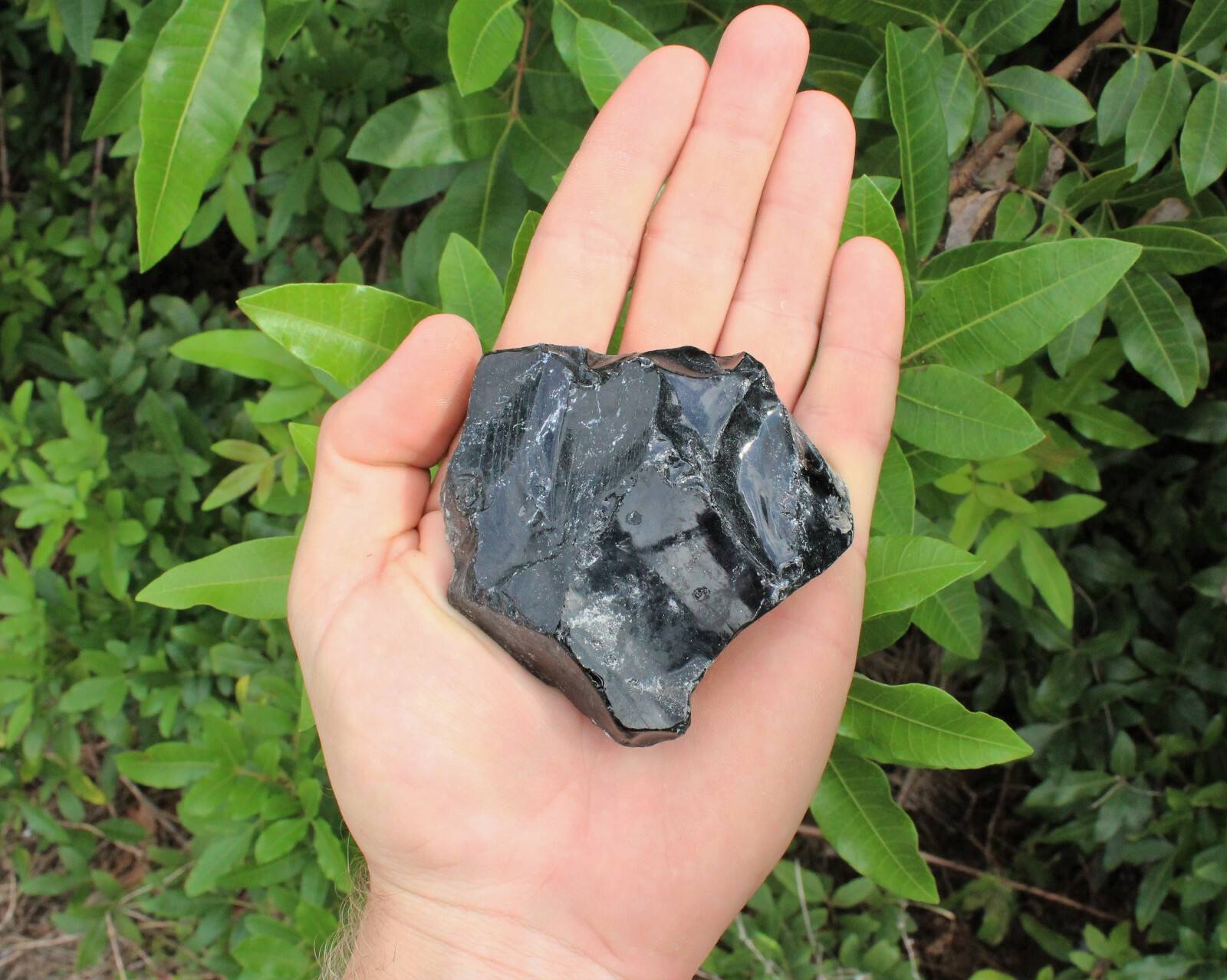 LARGE Rough Black Obsidian Crystals, 2″-3″, Raw Natural Glassy Specimens