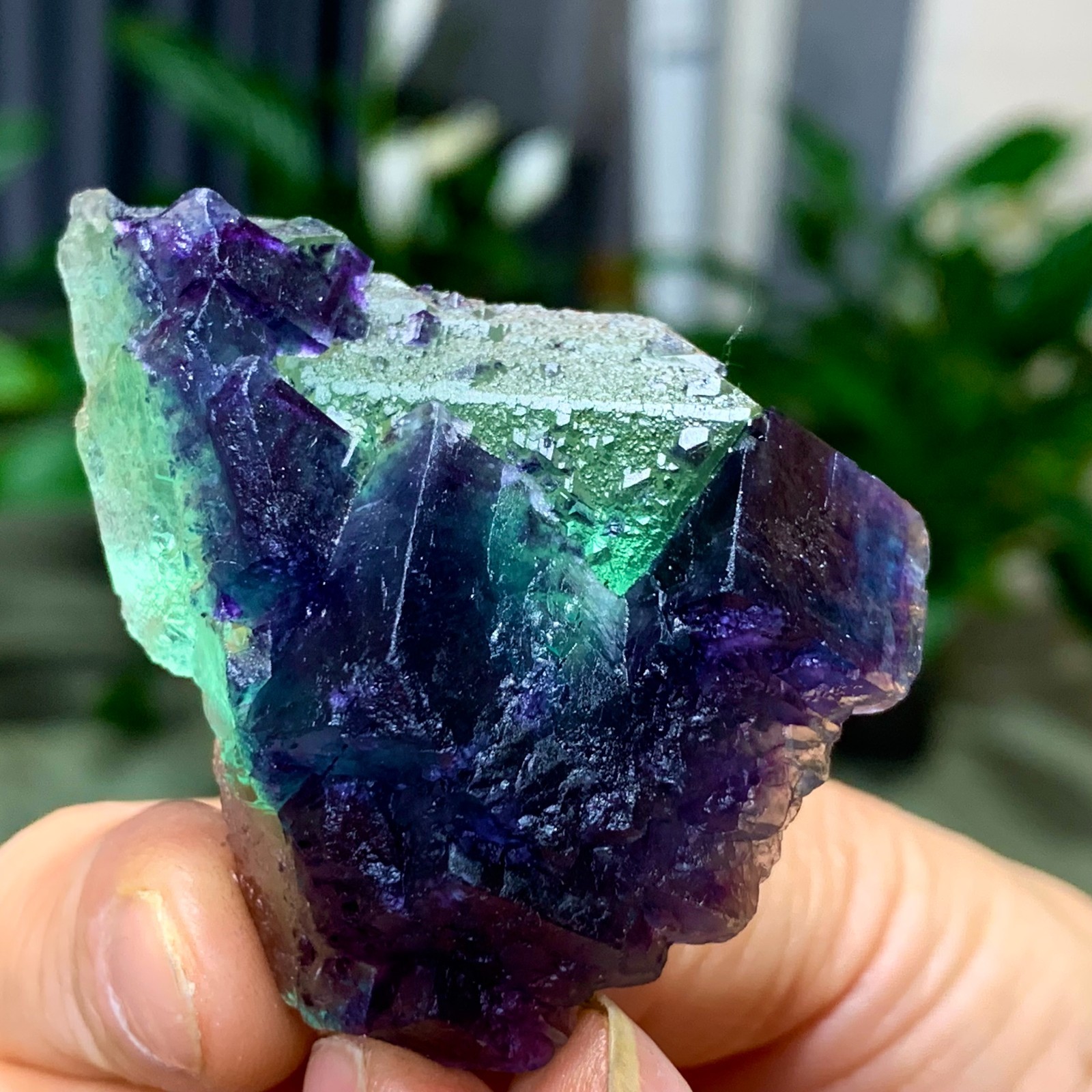 50G Rare transparent green purple cubic Zhejiang fluorite mineral sample