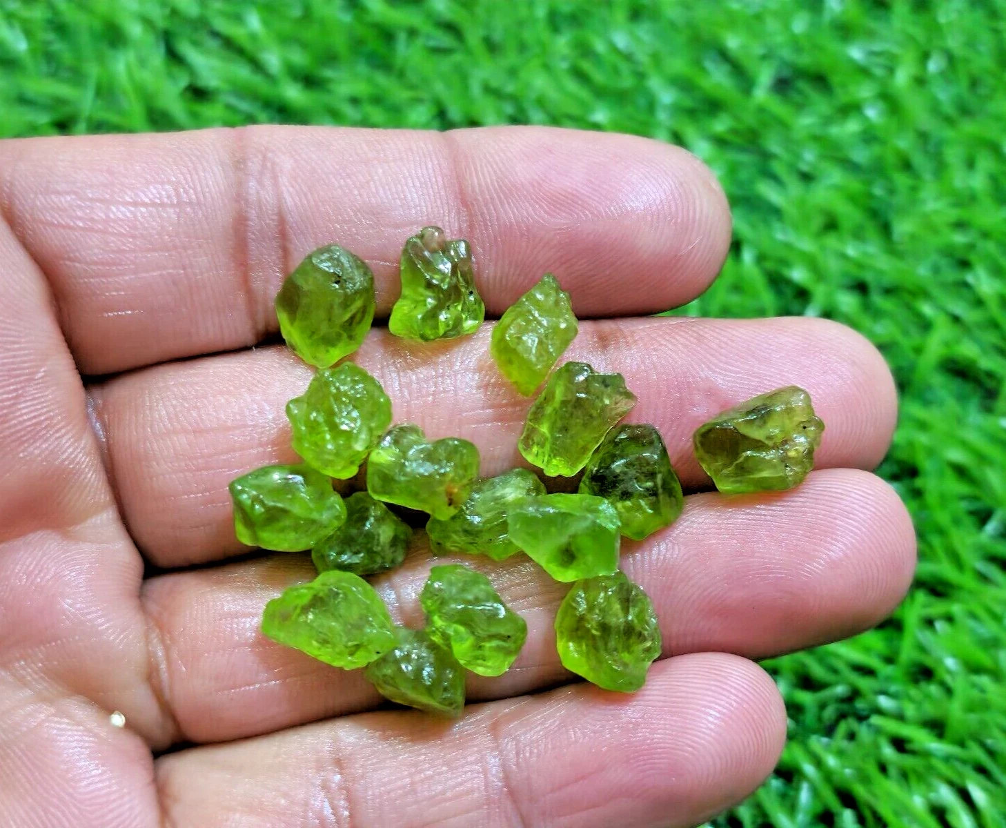 Excellent Rare Green Peridot 16 Piece Raw 10-12 MM Peridot Rough Loose Gemstone