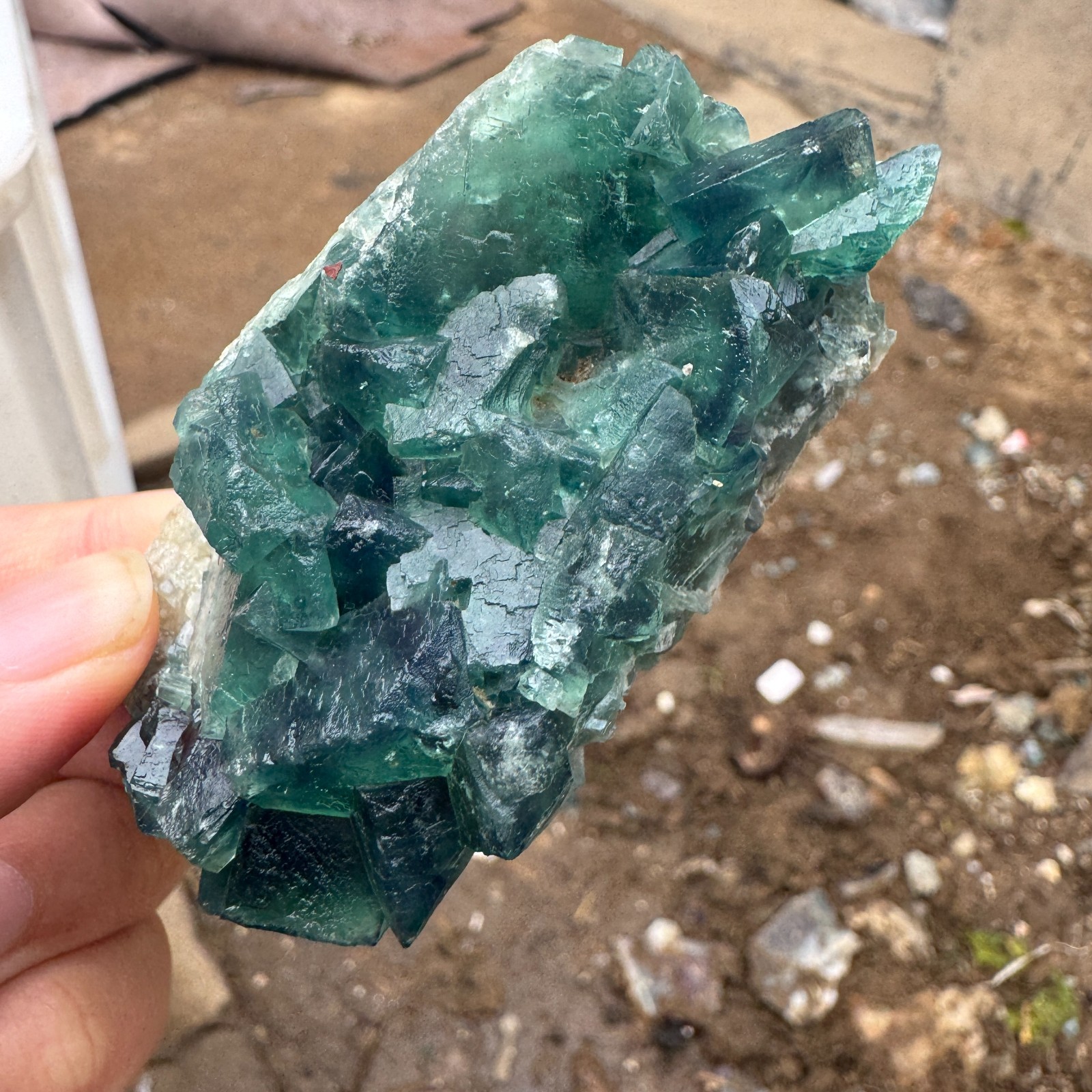 115G Natural cubic green fluorite crystal cluster rough mineral specimen Healing