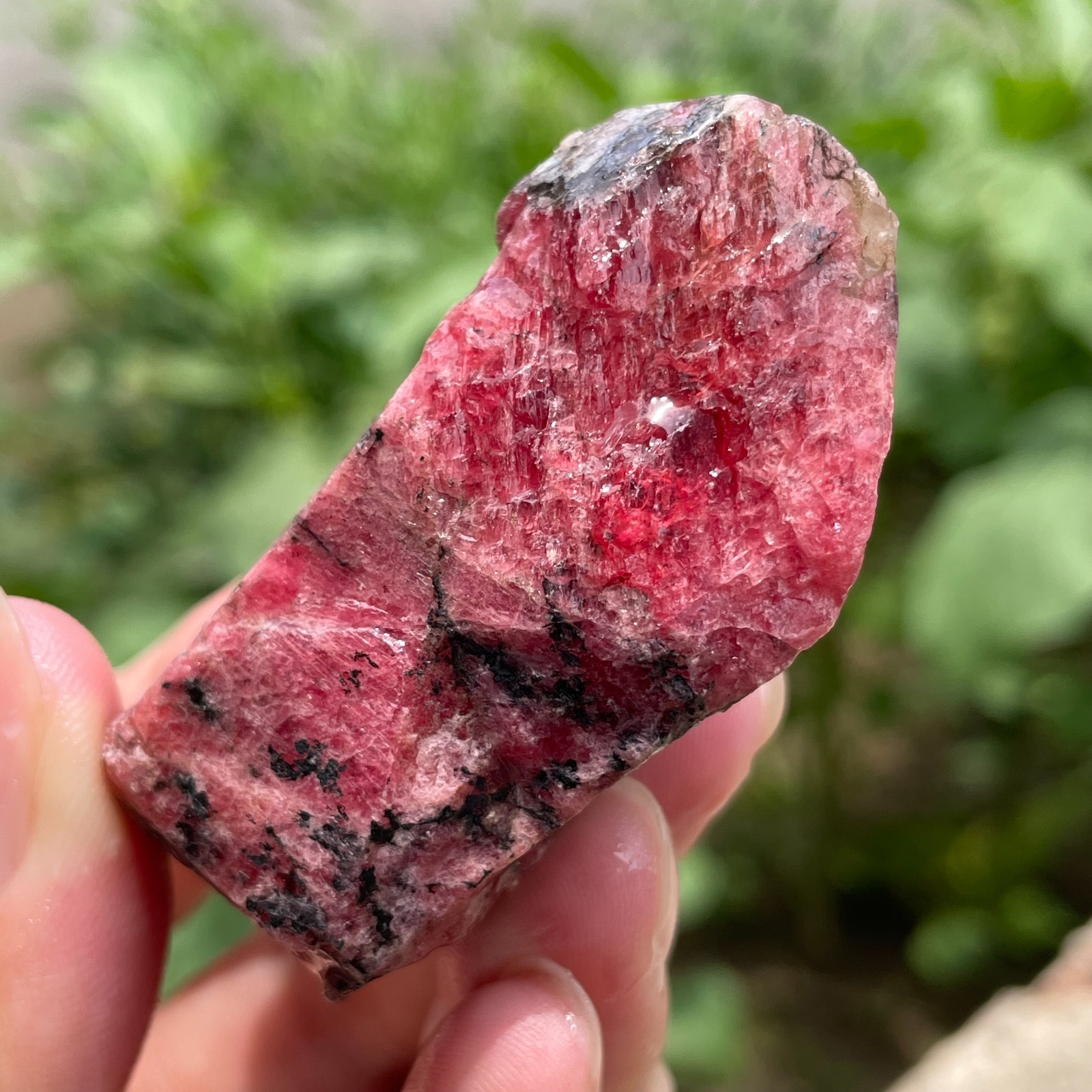 135g Small Raw Ore Red Black Rhodonite Quartz Gemstone Mineral Specimen