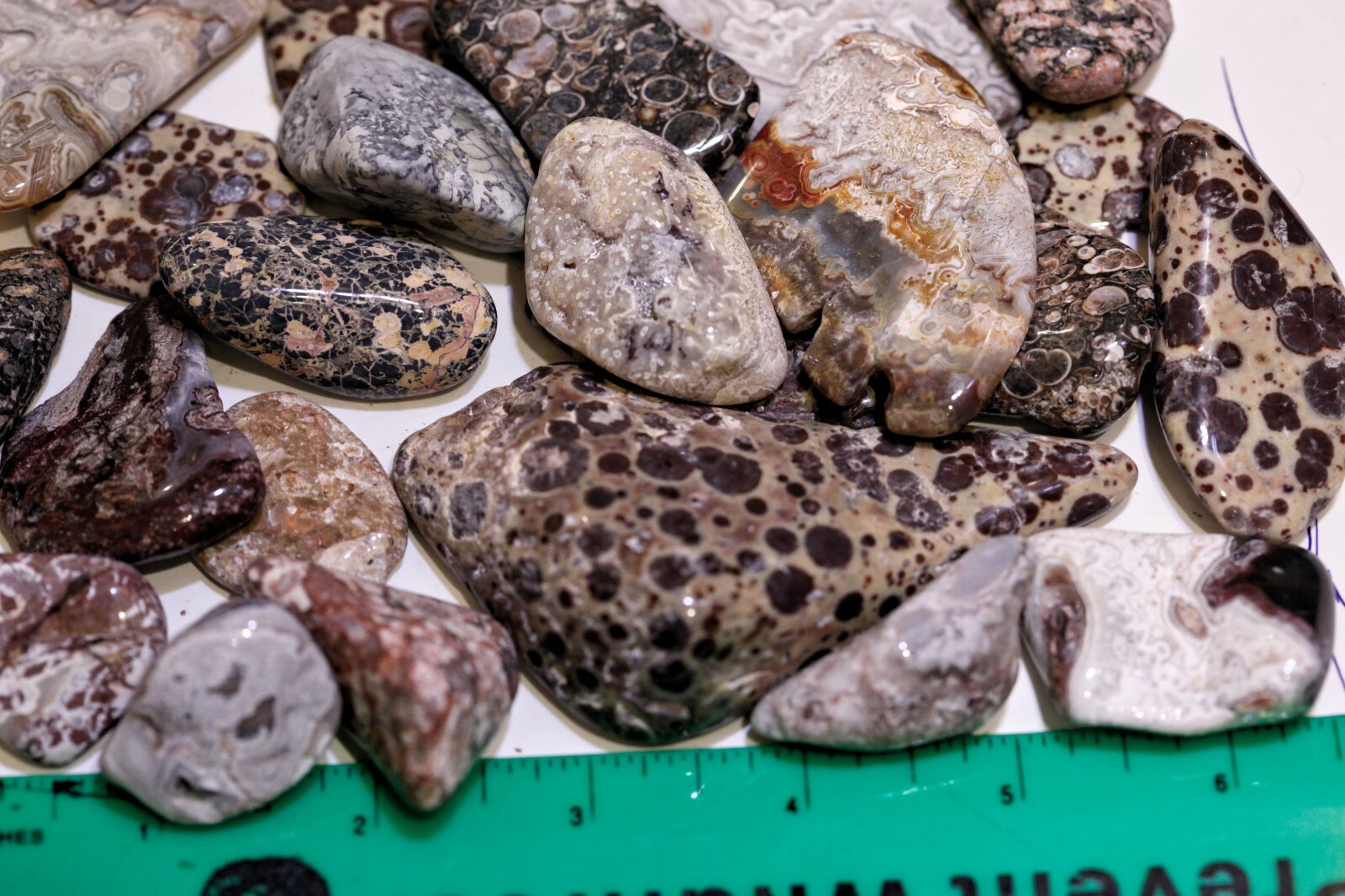 Large Tumbled Stone – Jasper, Crazy Lace Agate, Turritella – 16.0 Oz. Total wt. 