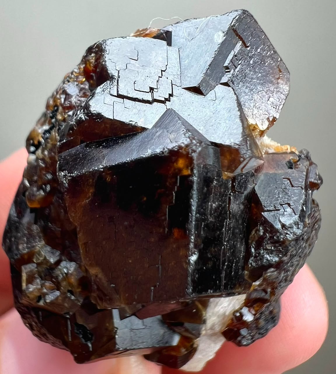 118 CT Lustrous !!Natural Andradite Garnet Crystals Bunch Pakistan
