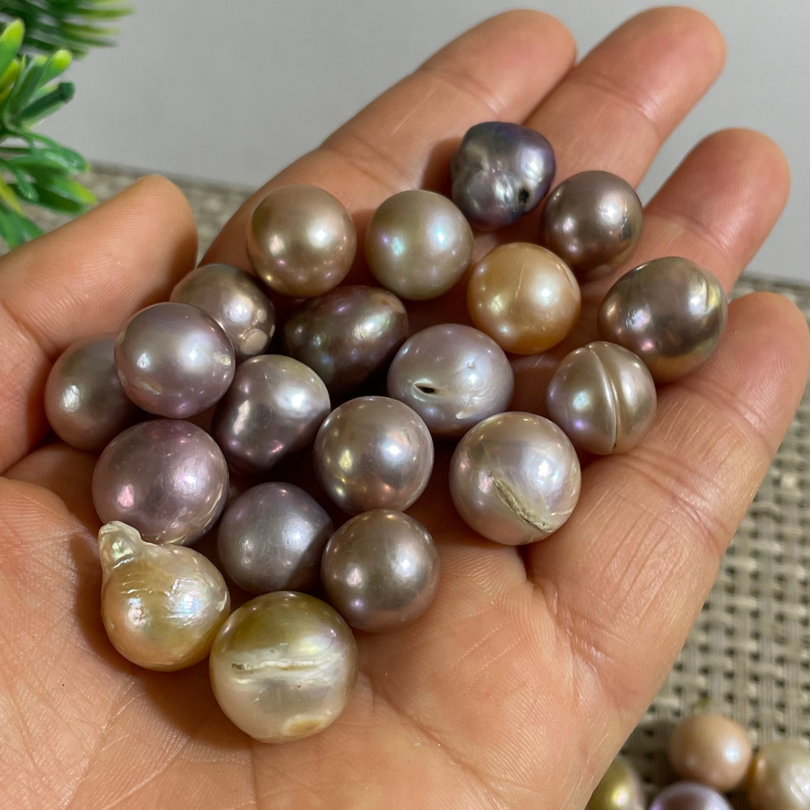 20pcs 58g Genuine Large Baroque Freshwater Pearl Cultured Loose Bead Not Drilled