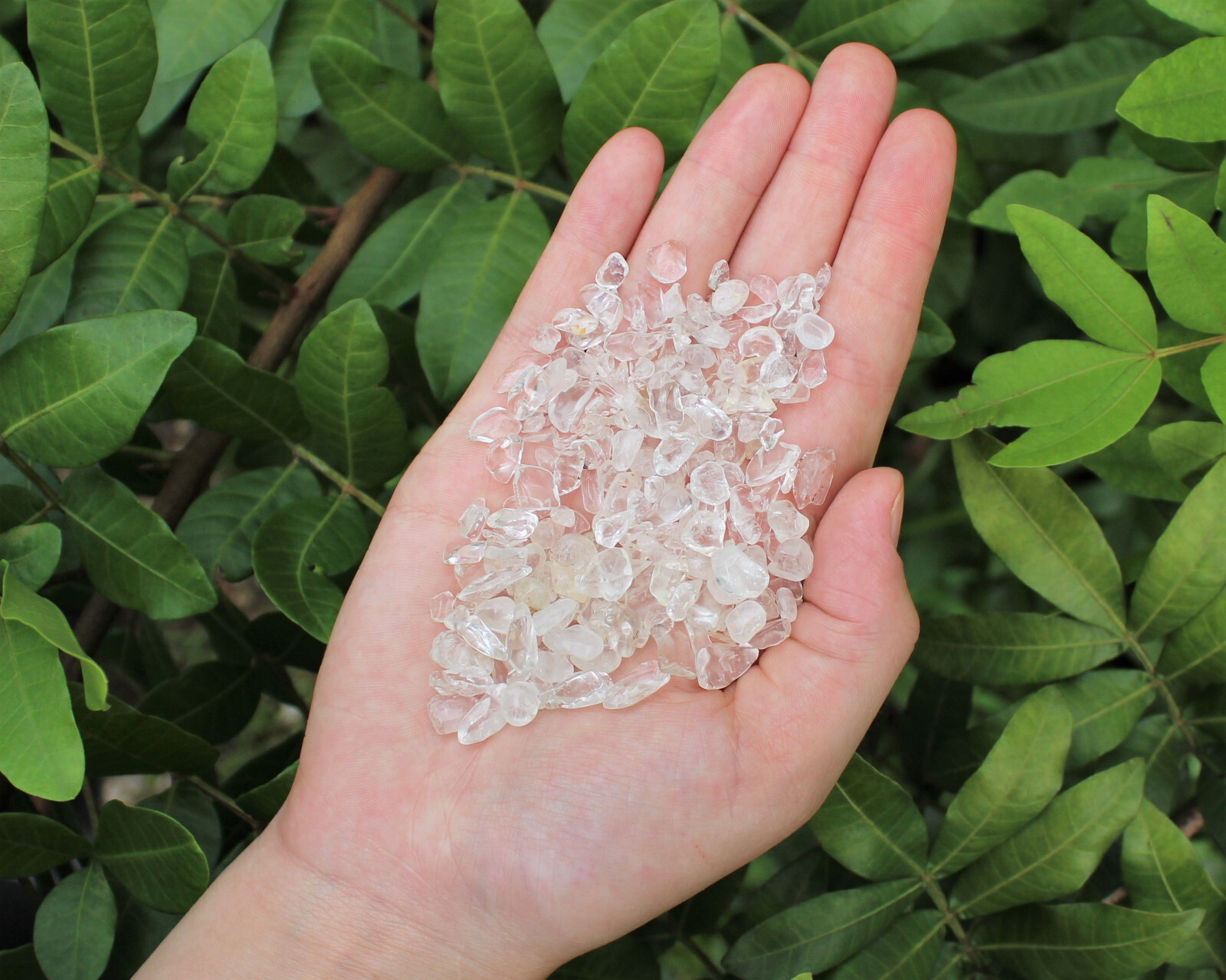 1/2 lb Bulk Loose CLEAR QUARTZ Semi Tumbled Gemstone Mini Chips 5 – 15 mm 8 oz