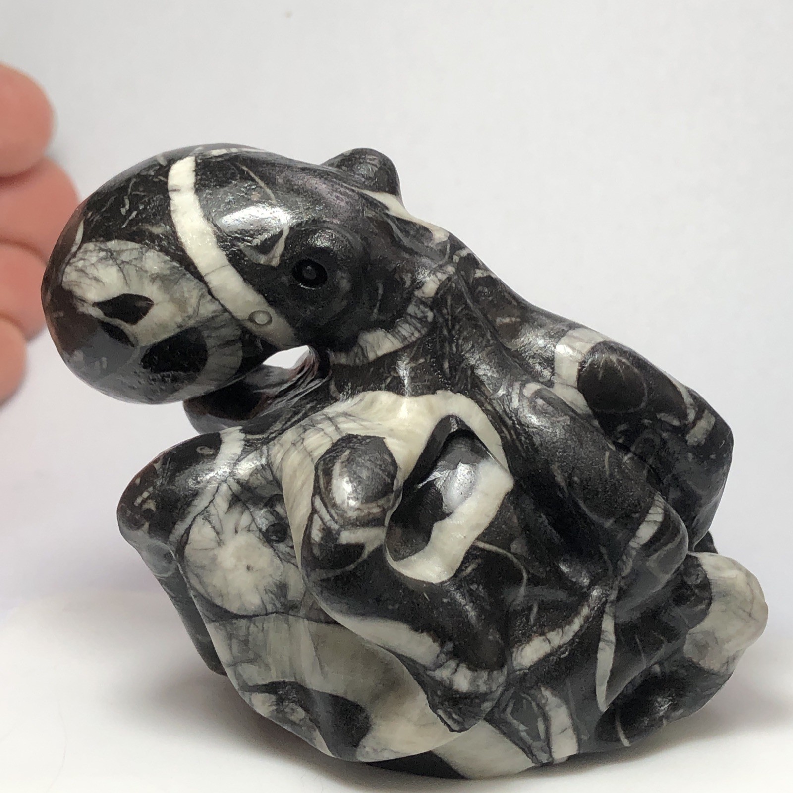 Octopus fine hand-carved natural shell stone crystal quartz mineral specimens.
