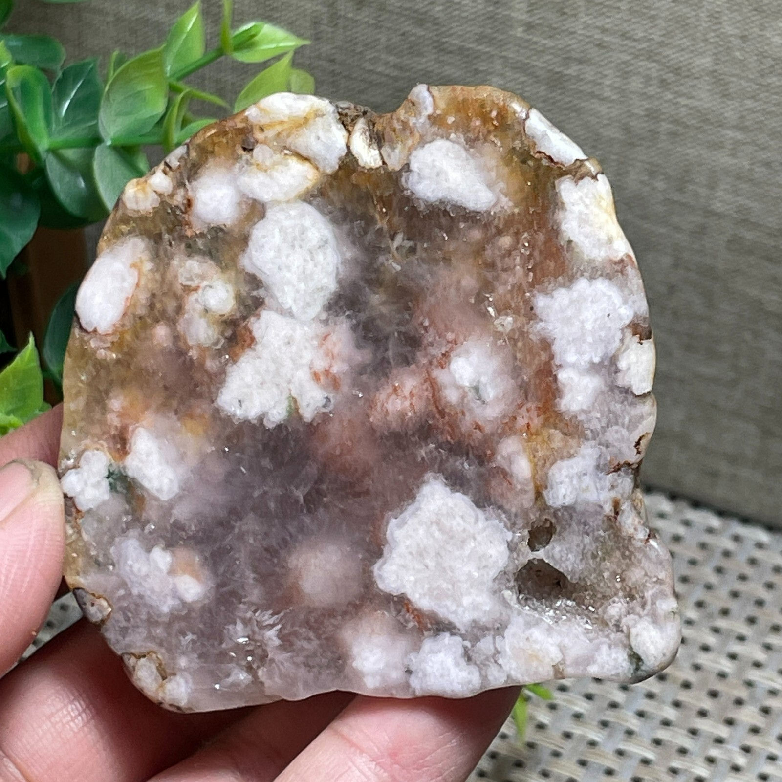 Natural Snowflake Cherry Blossom agate stone Polished Mineral Specimen 133g A72