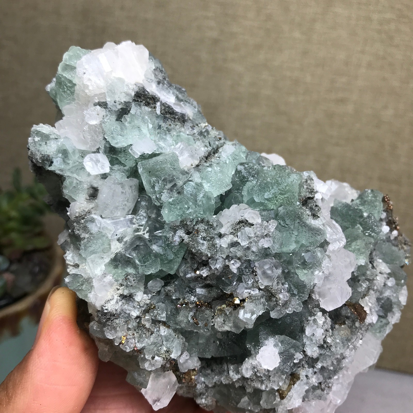 423g NATURAL Green Cubic FLUORITE paragenesis Crystal Cluster Specimen A4779