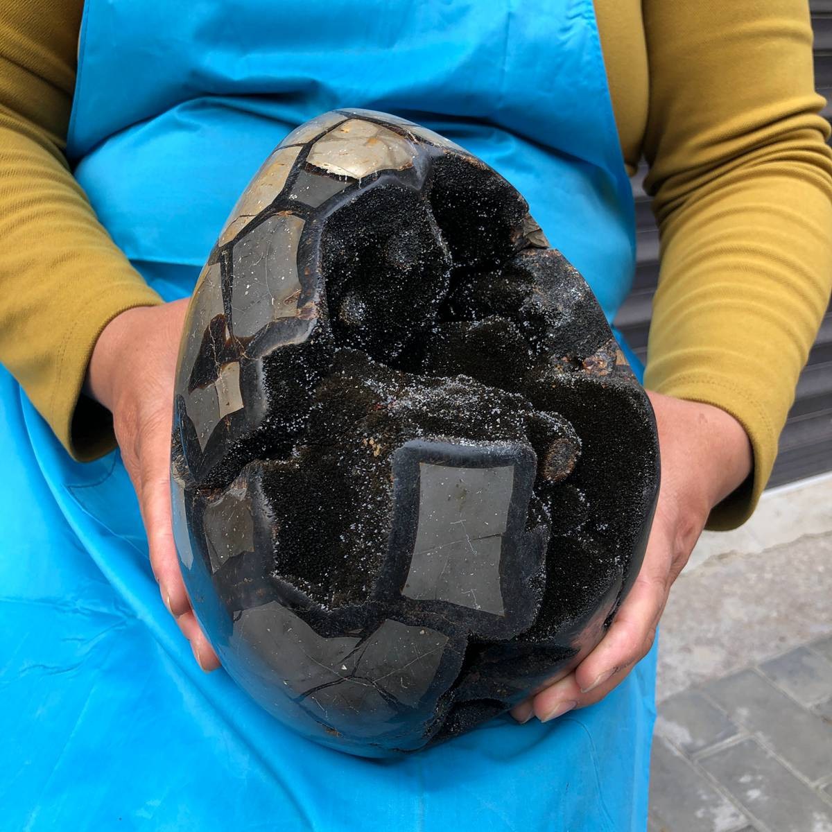 6400G Natural Turtle Back Stone Dragon Crystal Cave Crack Gem Healing 4349