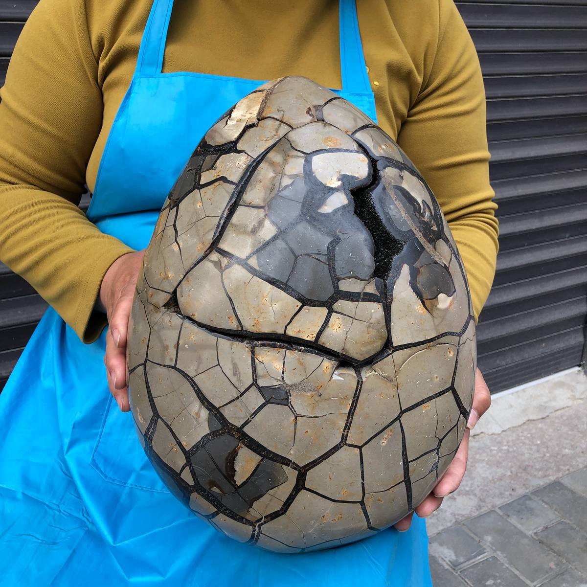 20.54KG Natural Turtle Back Stone Dragon Crystal Cave Crack Gem Healing 4346