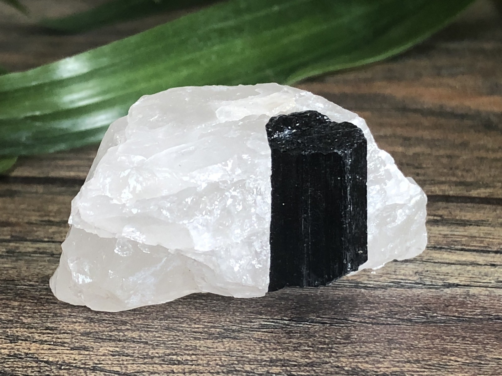 Rough Black Tourmaline Mineral Specimen Raw Gemstone Crystal Reiki Metaphysical.
