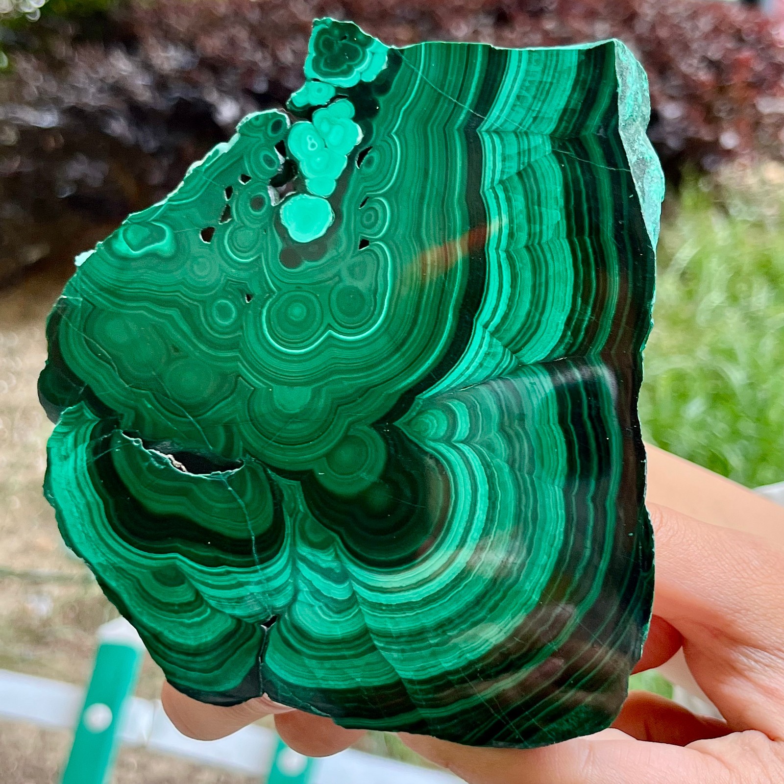 525 g Malachite Polished Slab Green Banded Agate Look Mineral Specimen Reiki