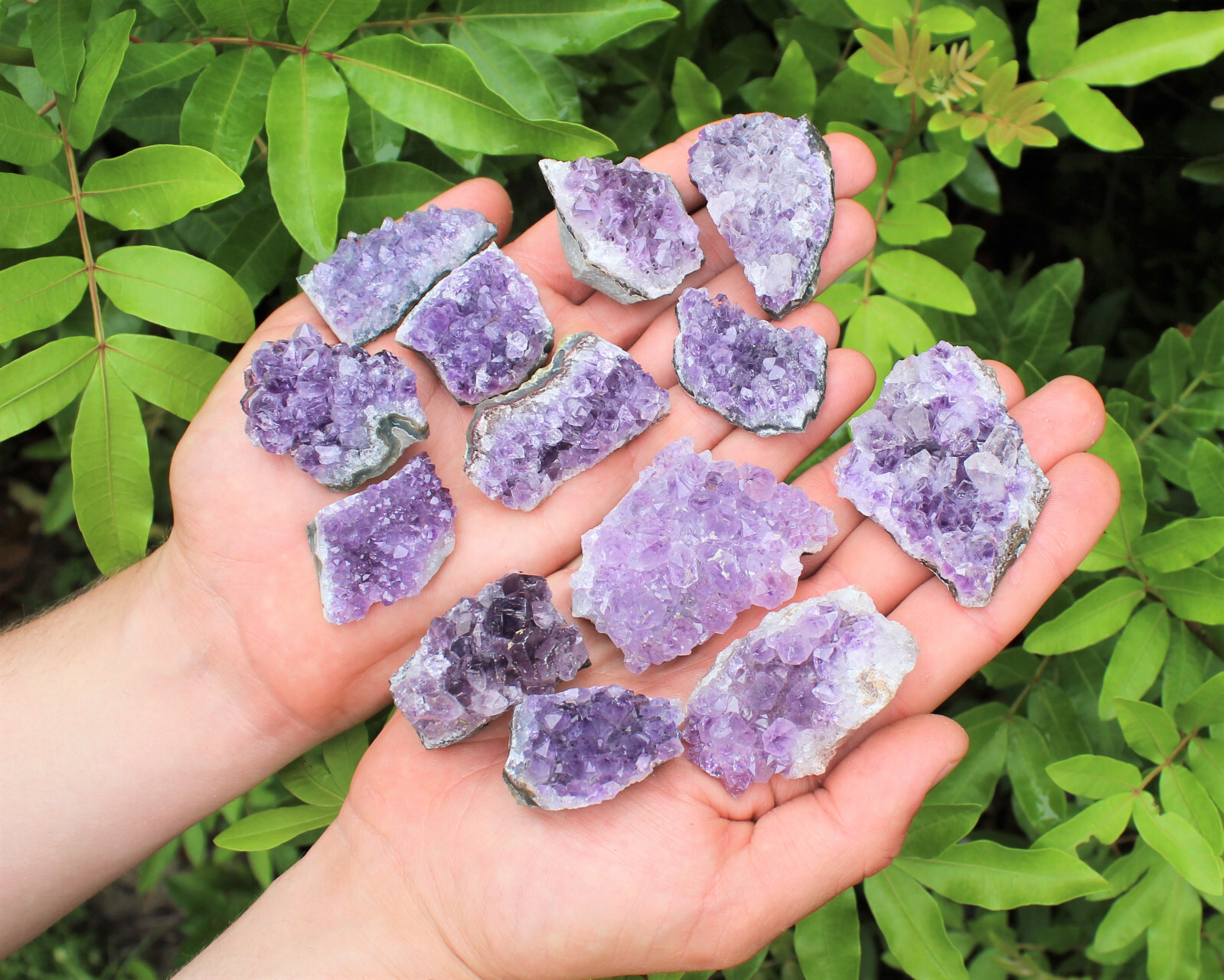 Wholesale Bulk Natural Amethyst Crystal Clusters: 6-9 Piece Lot (Quartz Geode)