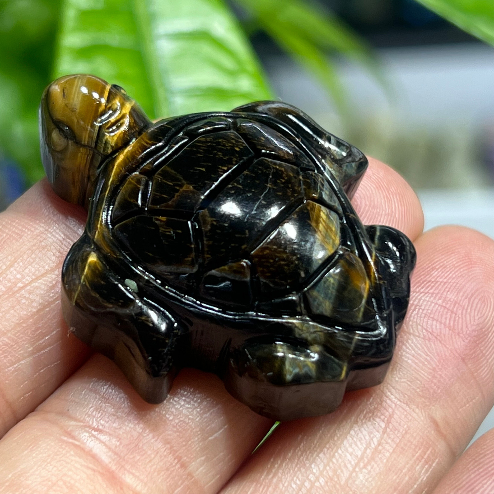 2″ Natural Tiger’s Eye Quartz Hand Carved sea turtle skull Crystal healing