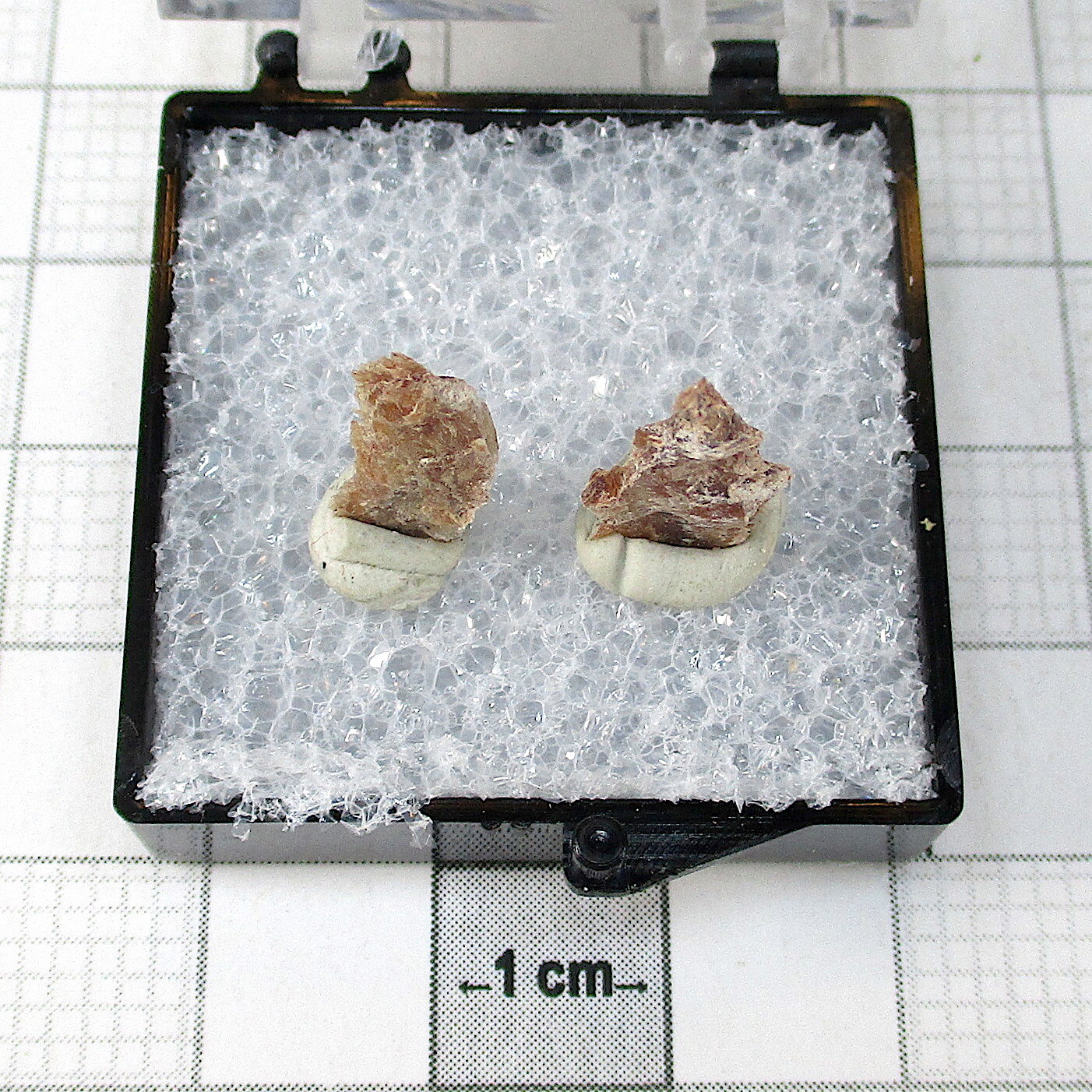 09998 TN Yuksporite Eveslogchorr Mount Khibiny Russian Federation 2683