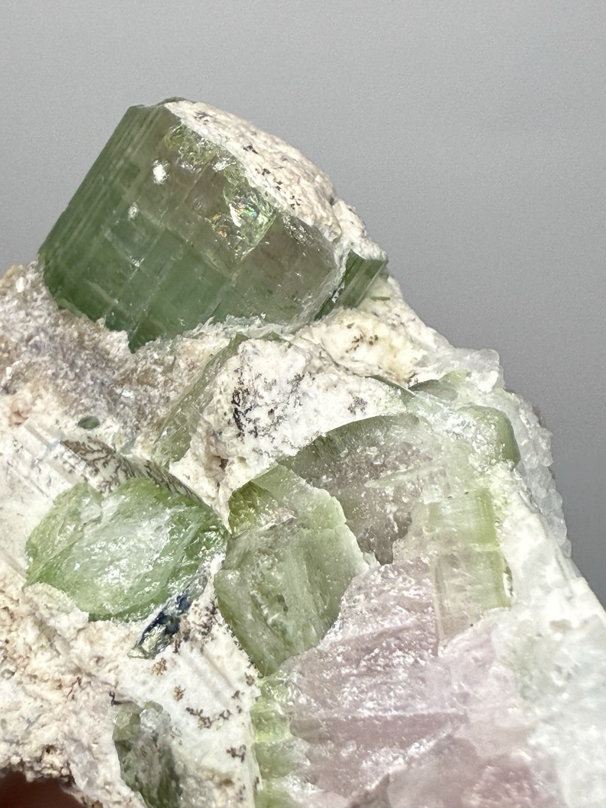 Watermelon Tourmaline on Matrix | Collector Mineral Specimen | Pakistan