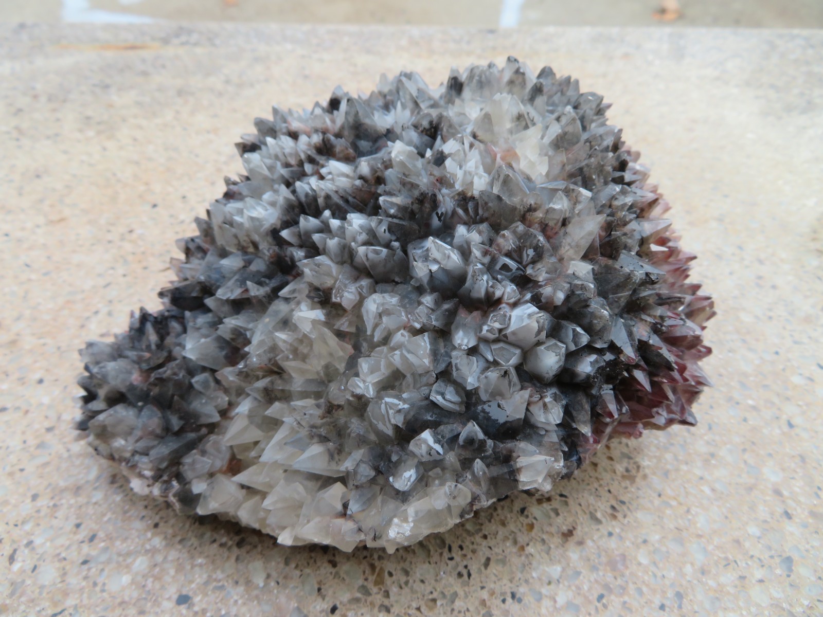 Very Rare Superb Excellent Calico Dog Tooth Calcite From San Antonio mine,Mexico