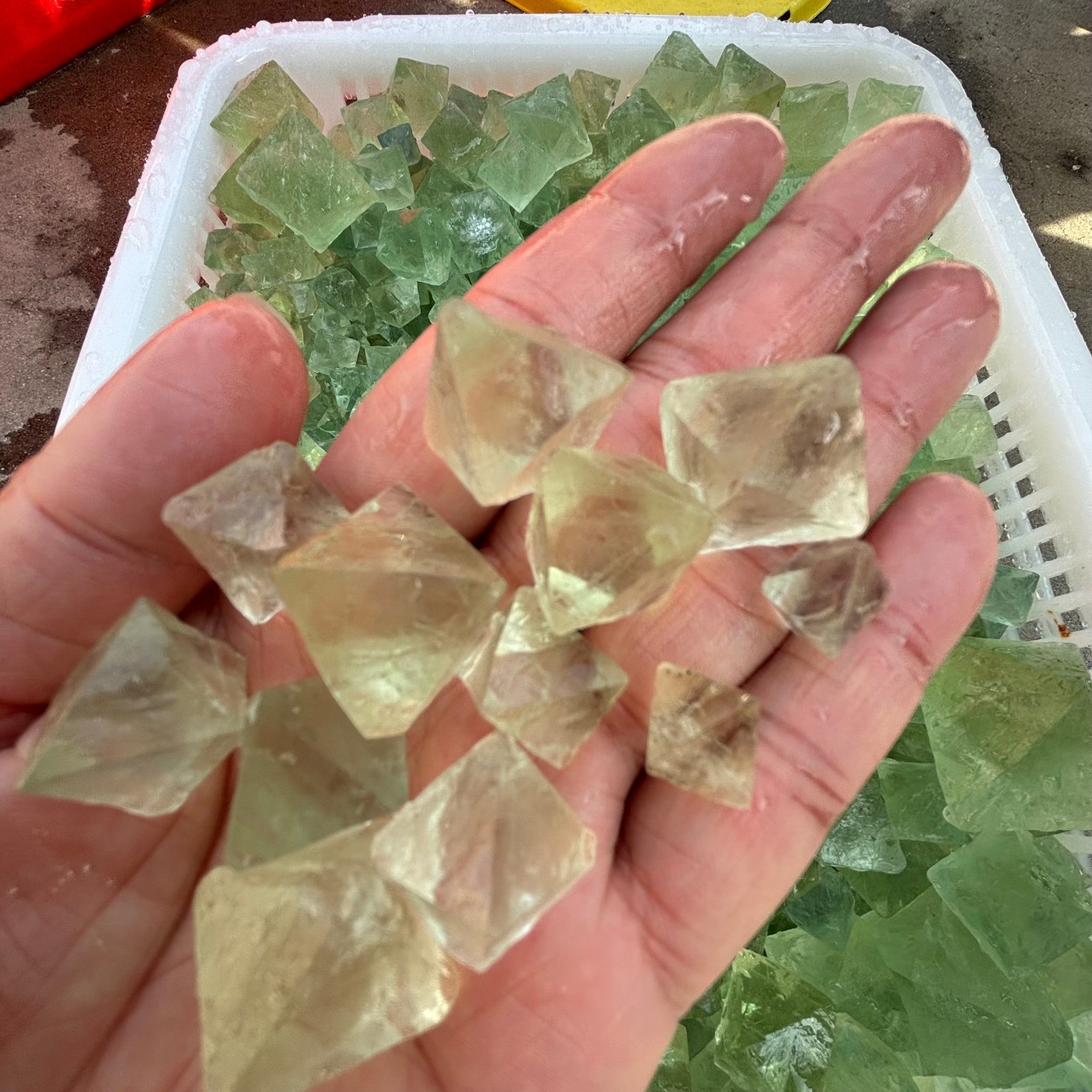 2.2 LB Natural Green Fluorite Octahedron Quartz Crystal Point Healing Gift