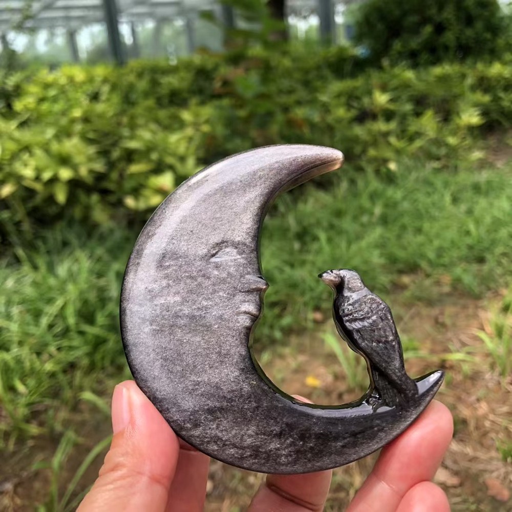 Natural Obsidian Moon Skull Carved Quartz Bird Crystal Crow Skull Healing 1pc