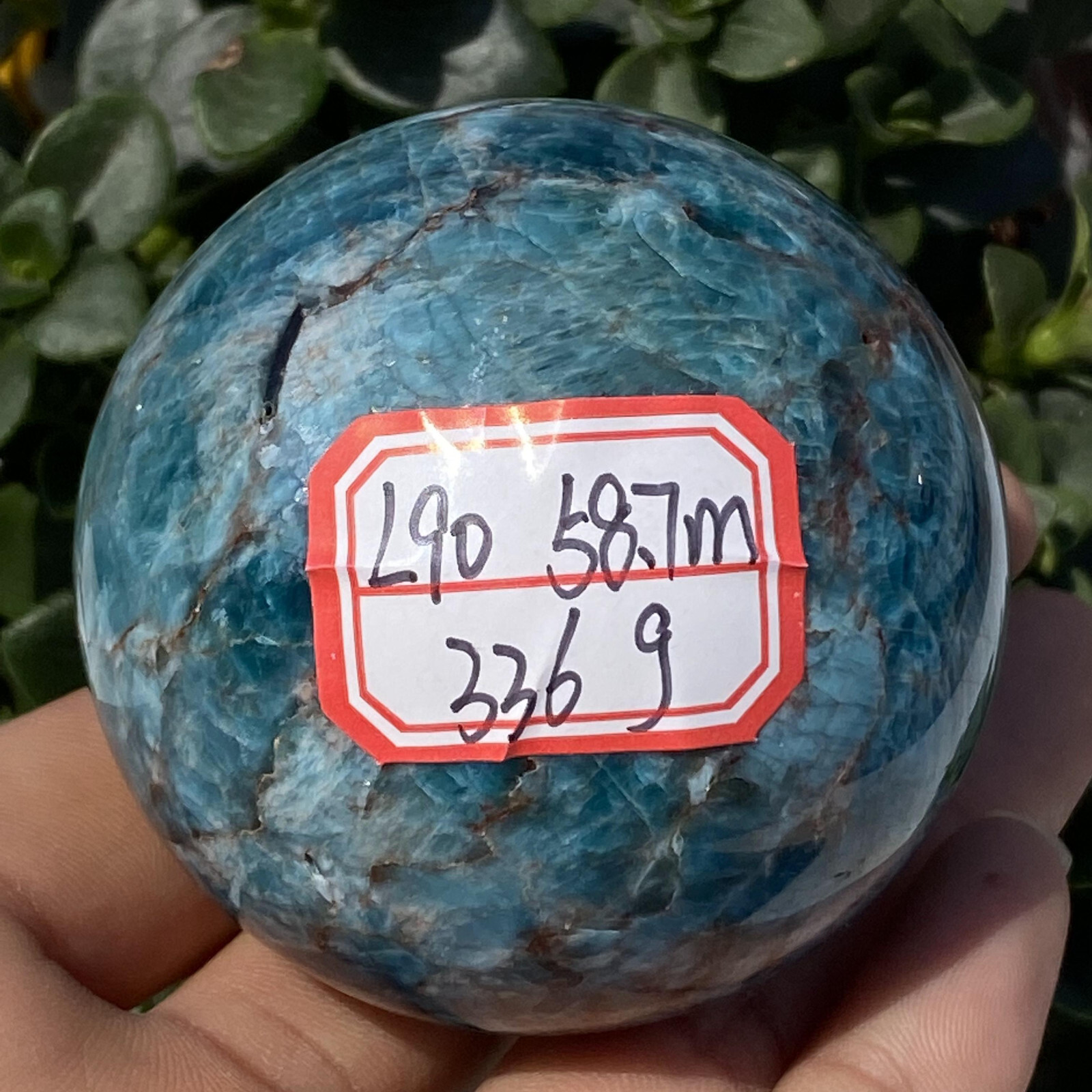 1pc Natural Blue Apatite Ball Sphere Quartz Crystal Mineral Reike Healing 58.7mm