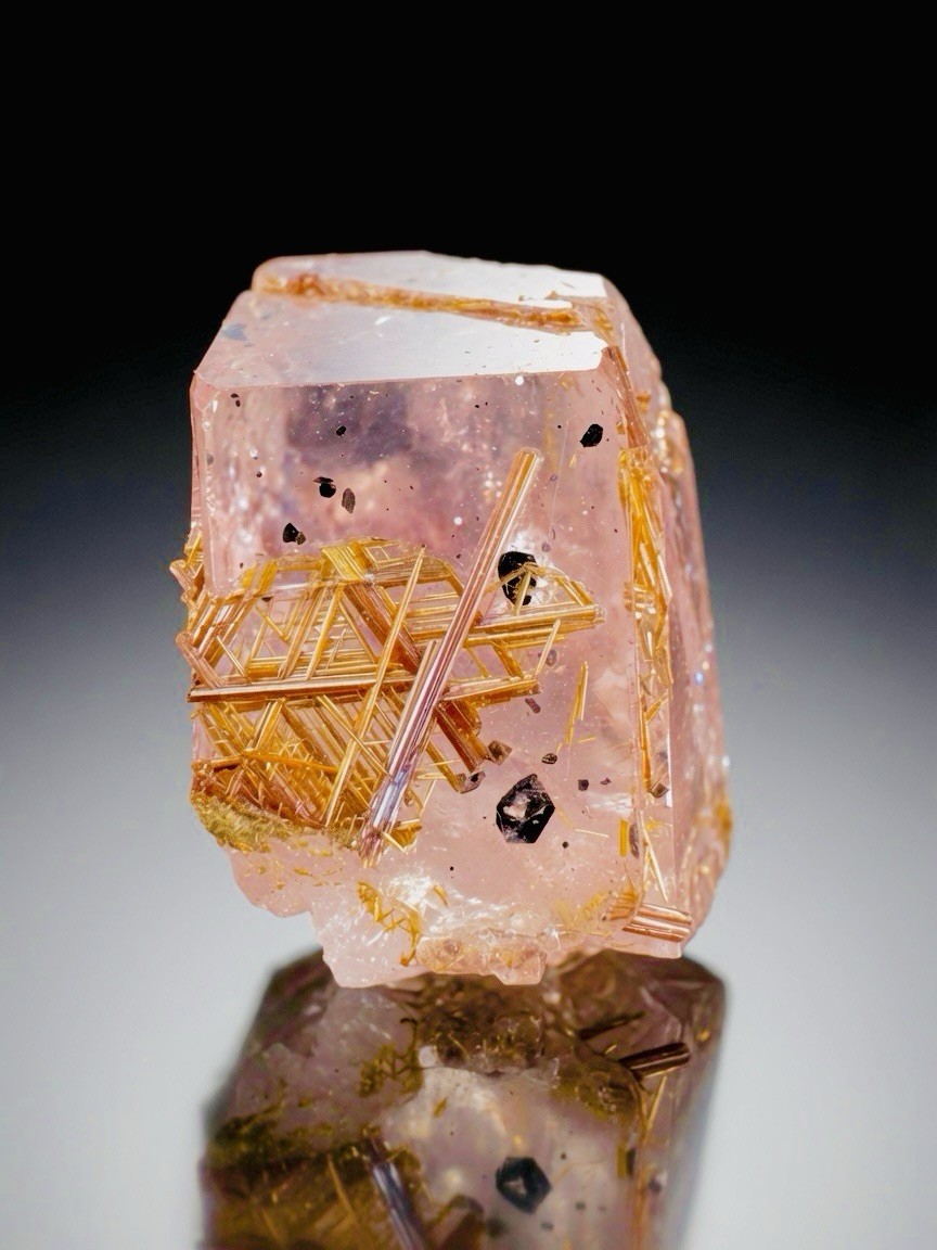 Rarest Rutile Var SAGENITE host on Pink APATITE Floater Crystal With HEMITITE