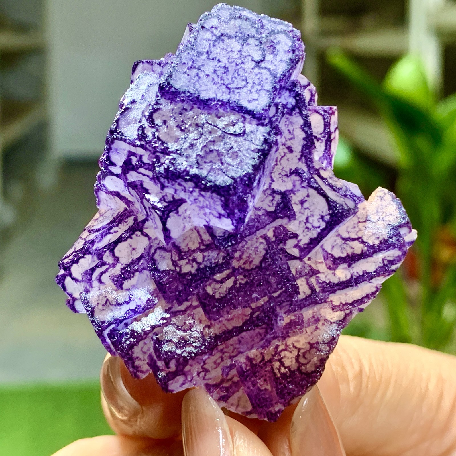 40G Natural Purple Green “QR Code” Fluorite Cluster Mineral Sample/Guizhou