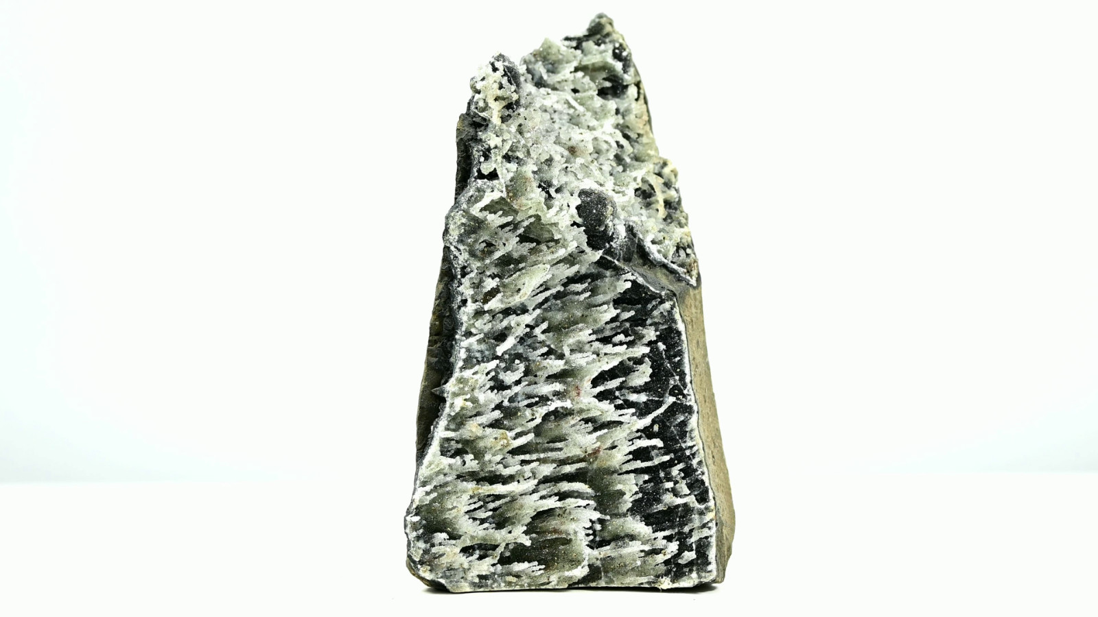 Super rare thin trees forest inclusion with multiple colors and unique shape!
