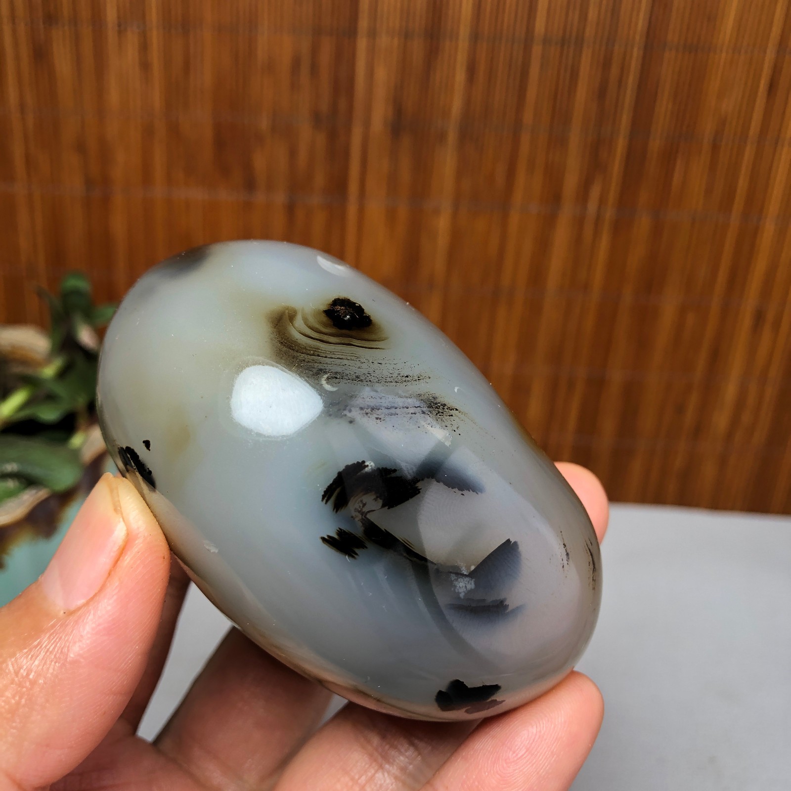 72mm Natural aquatic plants agate pretty Crystal specimens 167g A9995