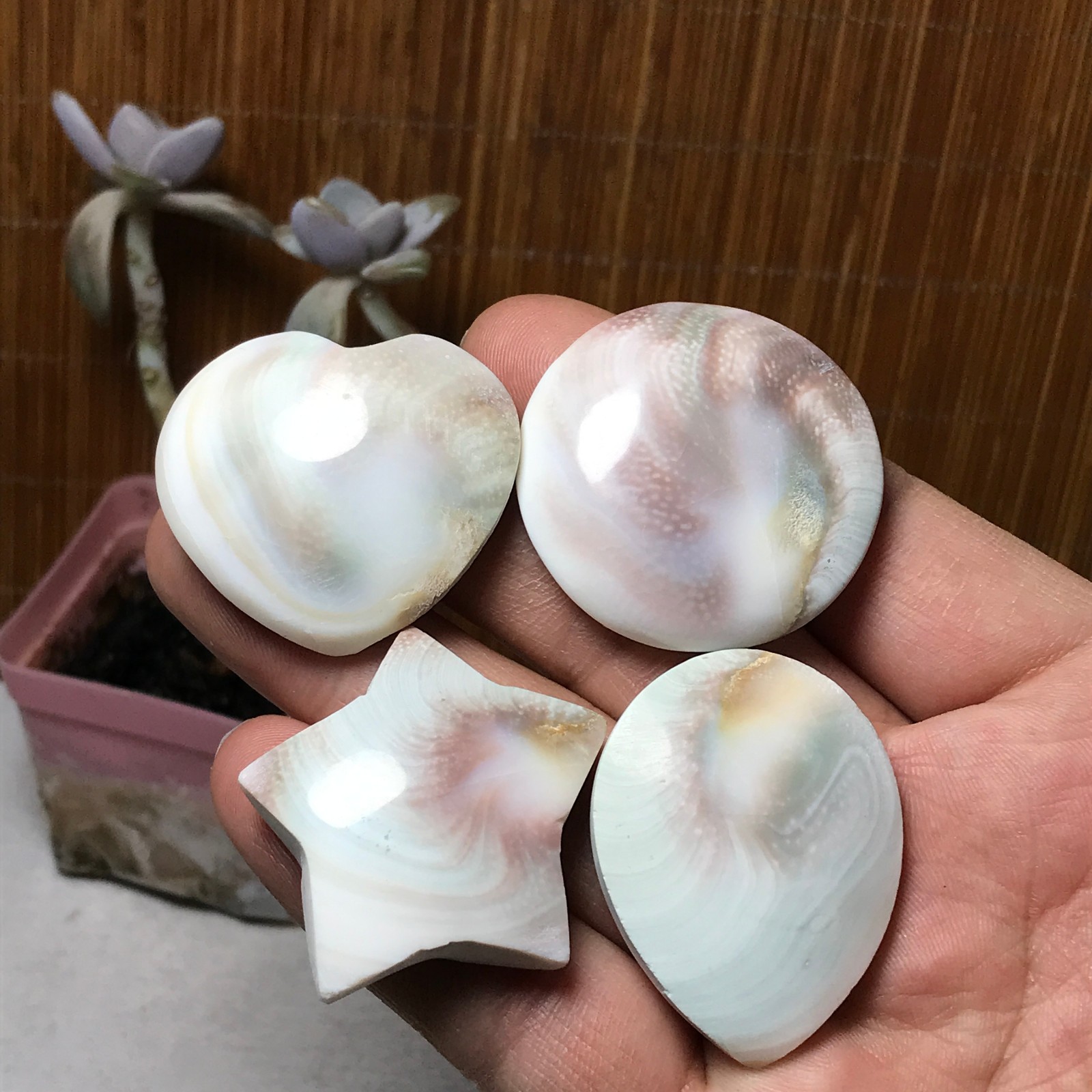 4Pcs Natural sun shell star Heart Reiki Shiva Eye ocean quartz carve A3333