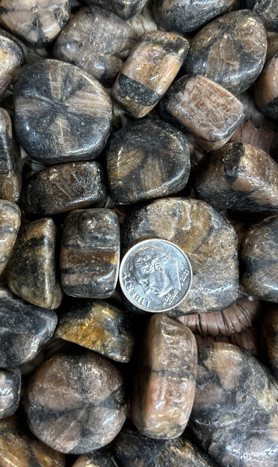 10 Pieces Of Tumbled Chiastolite Average Size 15 Grams