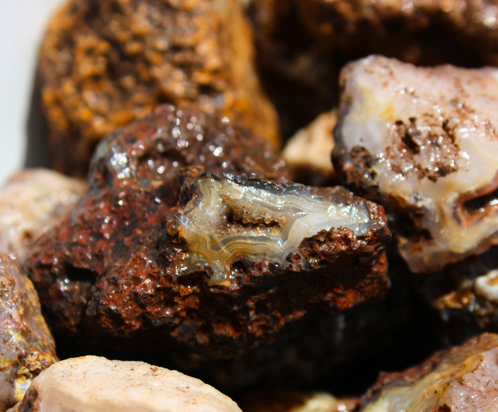 Picacho Agate Nodules – Rough Rocks for Lapidary/Cabochon – Bulk Wholesale