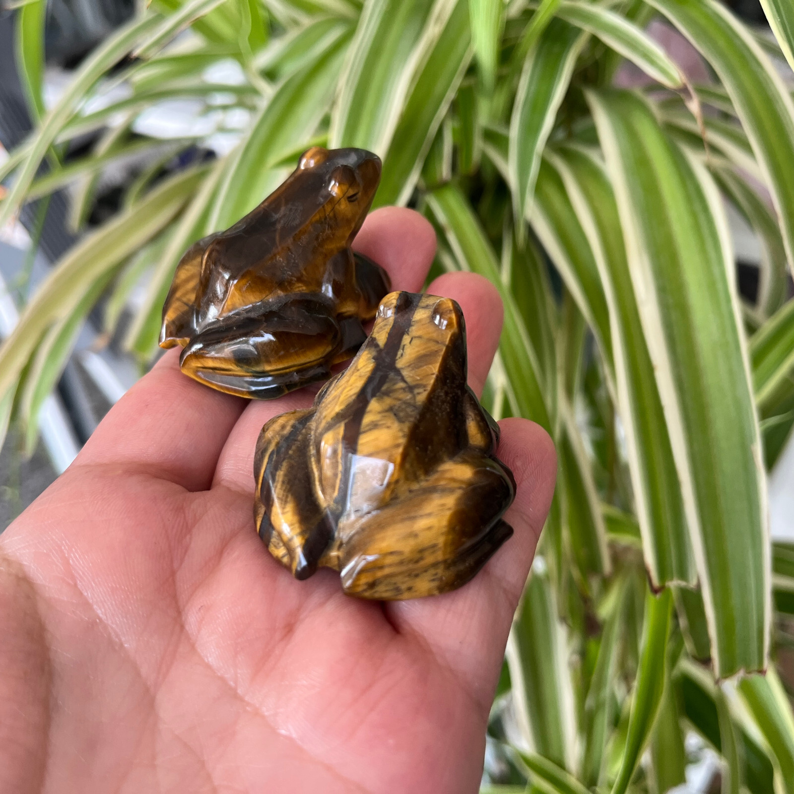 1pc Natural tiger eye jasper quartz frog skull carved crystals gem healing