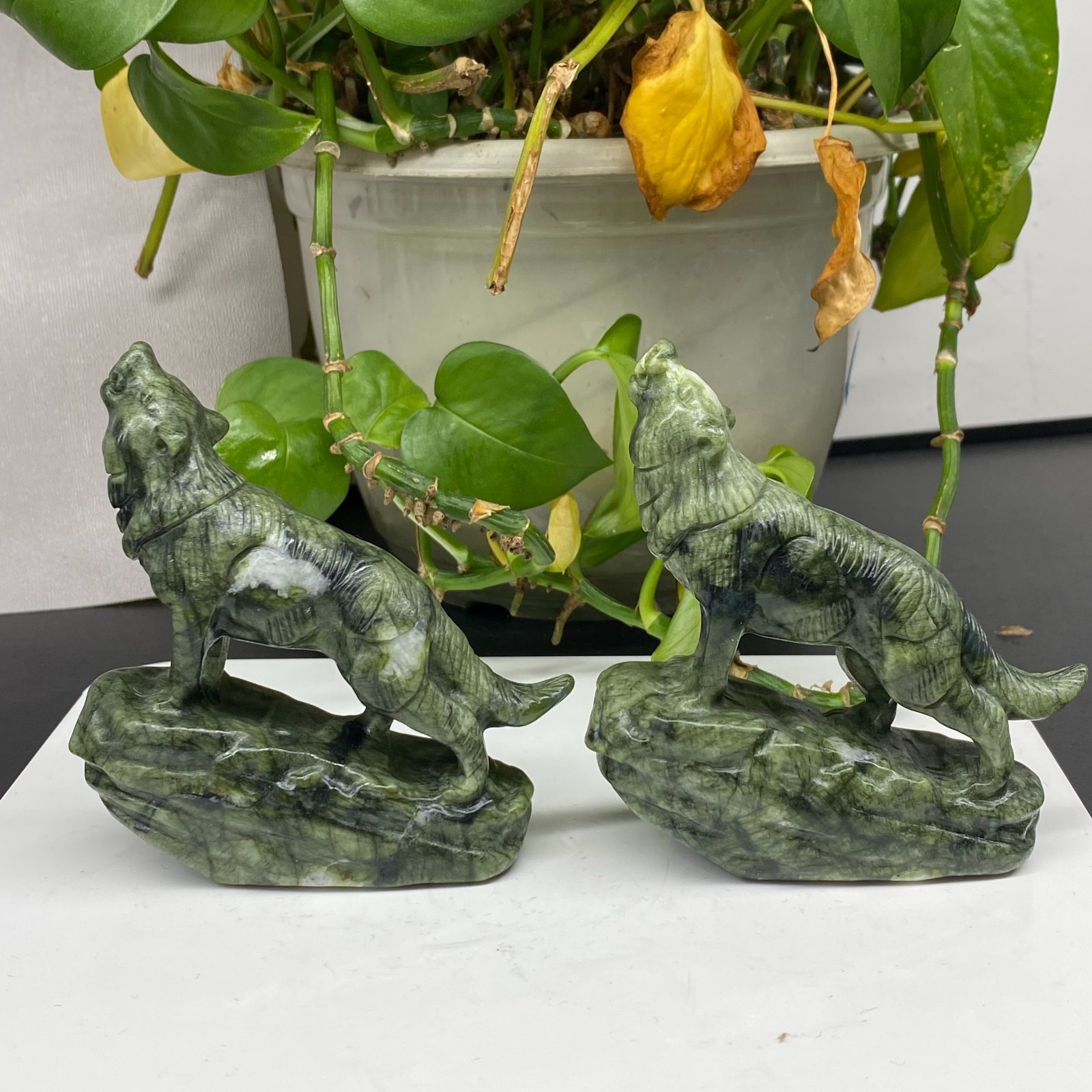 3.4” Natural Green Jade Quartz Crystal Carved Wolf skull reiki healing gift 1pc