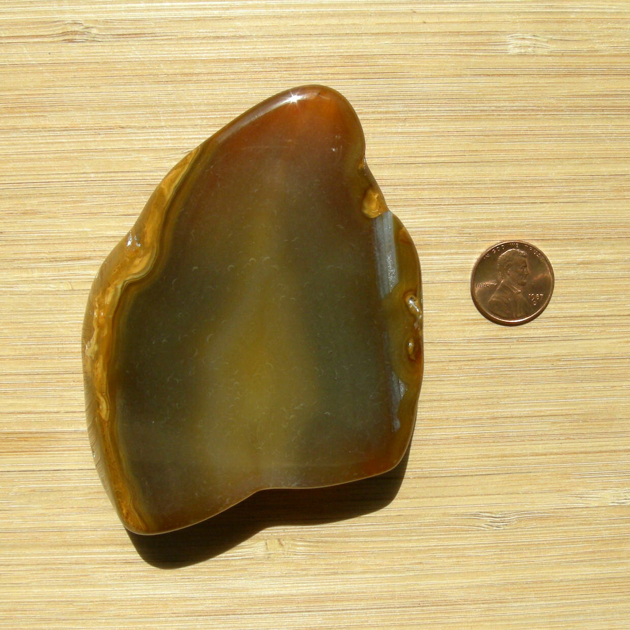 Agate Geode Slice Polished Natural Brown Crystal Slab Thick Cut Stone 3.5″ Long