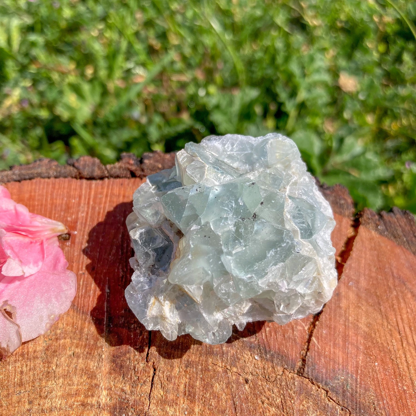 Rough Green Fluorite Crystal / Grounding / Psychic / Cleansing / Healing