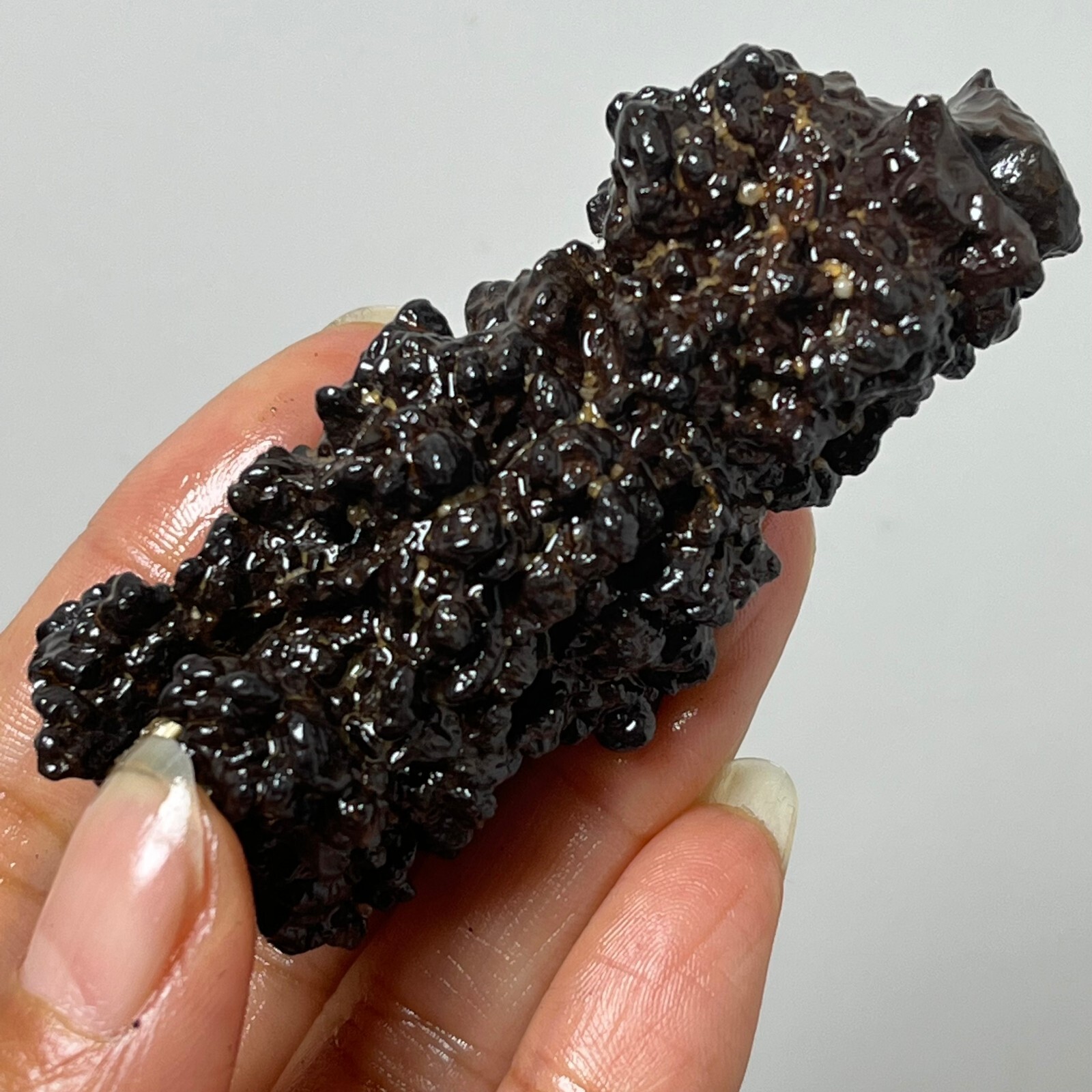 80g Limonite & Hematite pseudomorph after Marcasite – Prophecy Stone d22