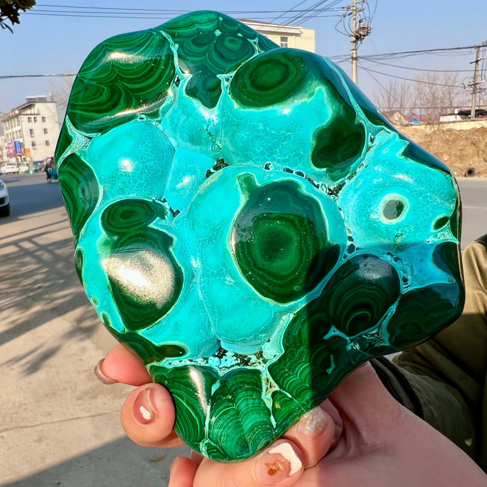 3.03LB Natural tortoise Malachite transparent cluster rough mineral sample