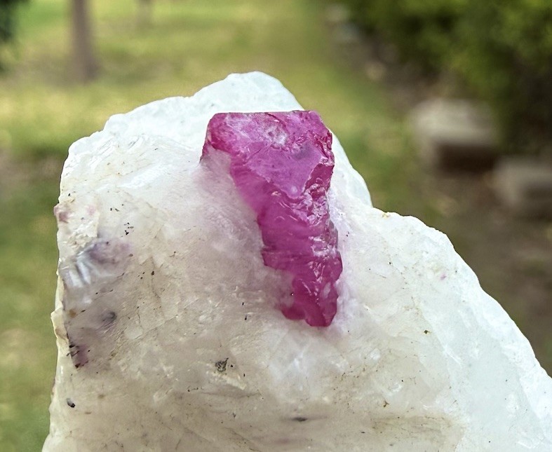 Natural Beautiful Top Quality Ruby with Combine Albit Specimen 420 Carats