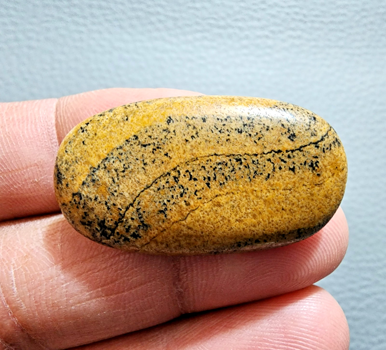Unique Natural 41.60ct Picture Jasper Oval Cabochon – Gemstone Collector Stone