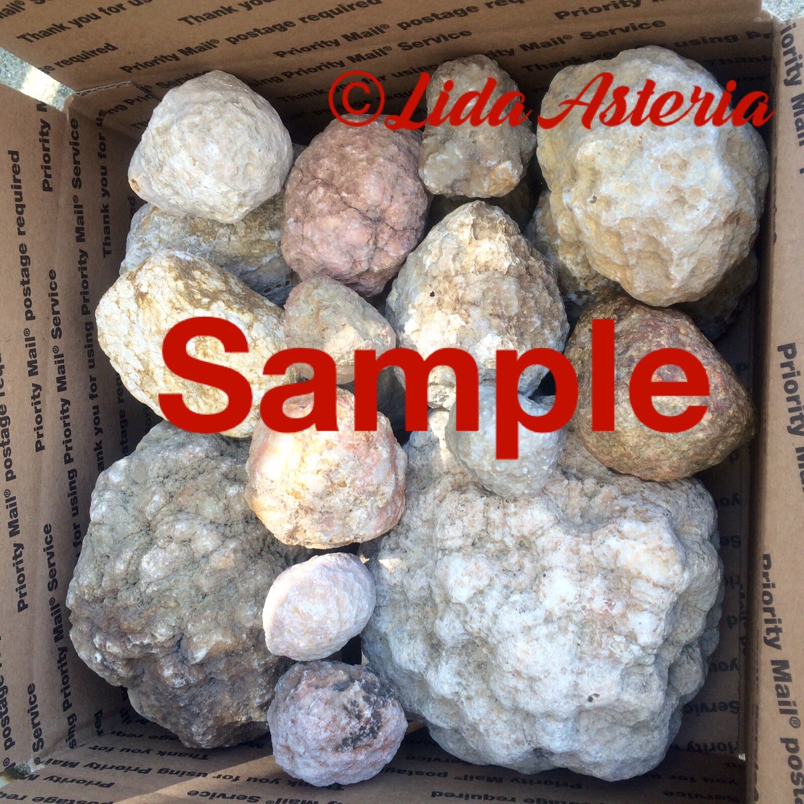 8-10Lbs Break Your Own Geodes Unopened Natural Crystals Kentucky Variety Lot