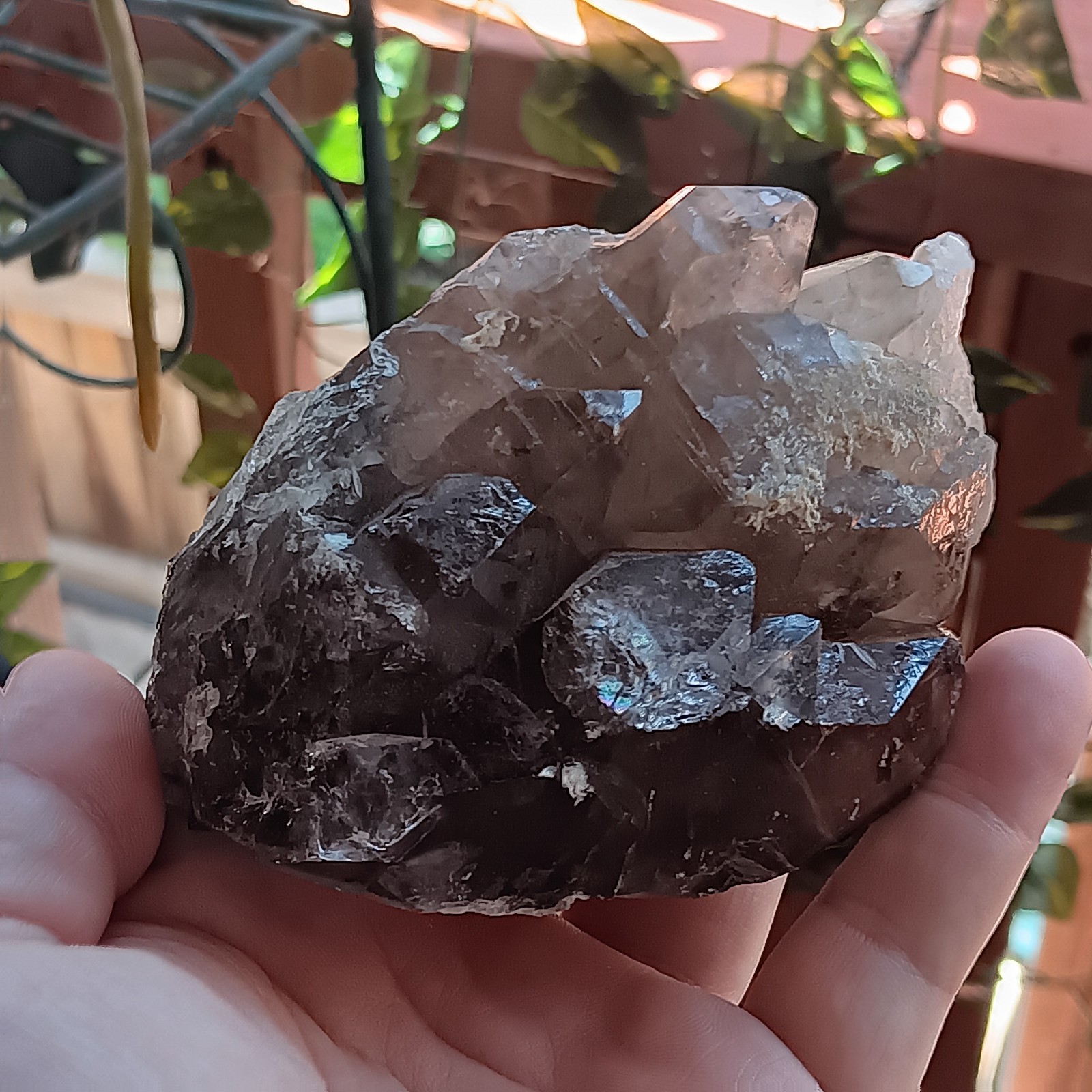 Smokey Quartz Crystal Clusters | Natural | Healing | Sustainably Mined | USA