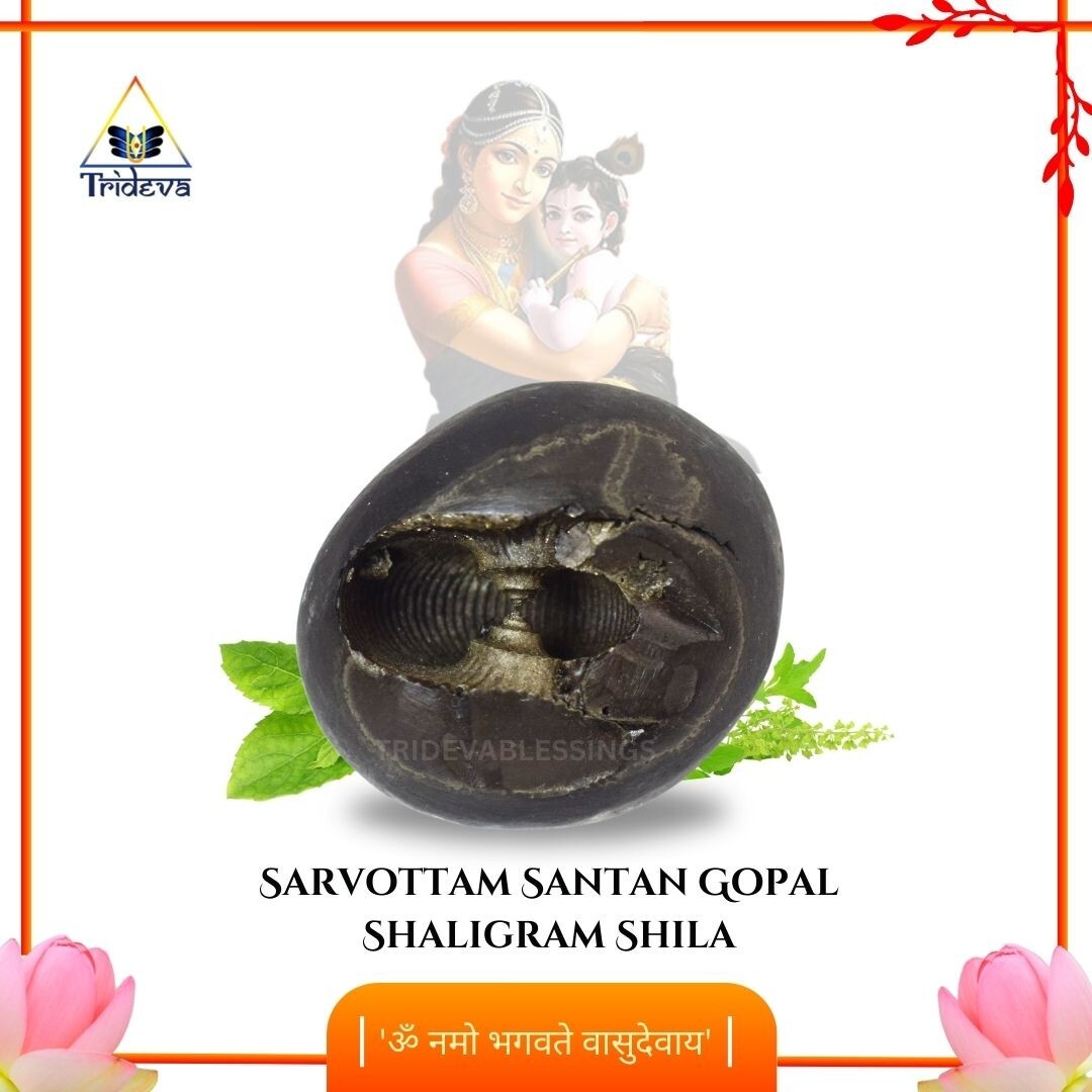 Sarvottam Santan Gopal Laxmi Narayan Shaligram Shila- EBS04