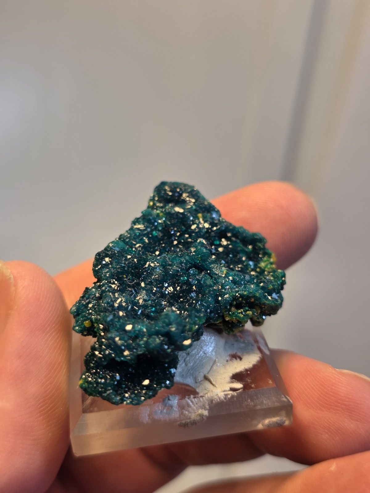 DIOPTASE w/ Wulfinite Crystal Mineral Specimen Cluster Green CONGO AFRICA 4.5 cm