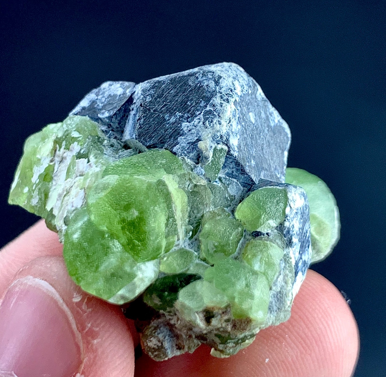 Peridot Crystal Specimen From Pakistan 146 Carat
